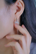 Load image into Gallery viewer, LUOWEND 18K White Gold Real Natural Diamond Hoop Earrings for Women
